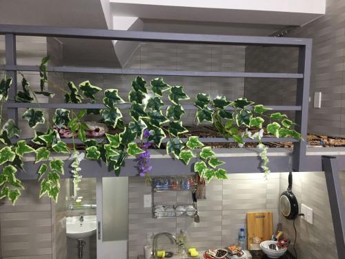 Gác lửng từng phòng